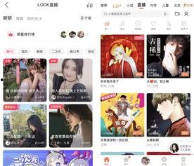 头条直播怎么调声音大小,轻松掌控声音大小